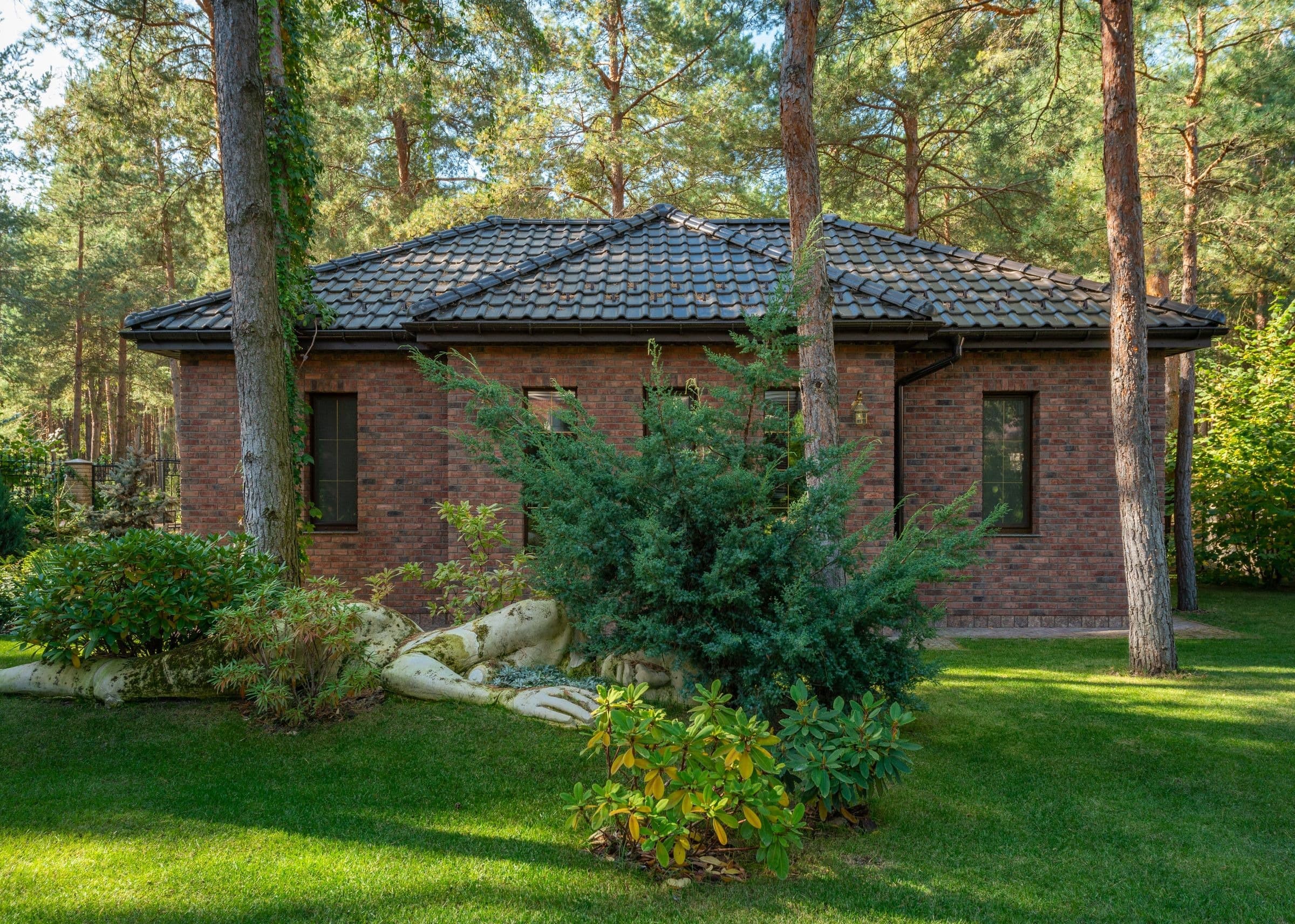 Brick house among tall pines with a green lawn