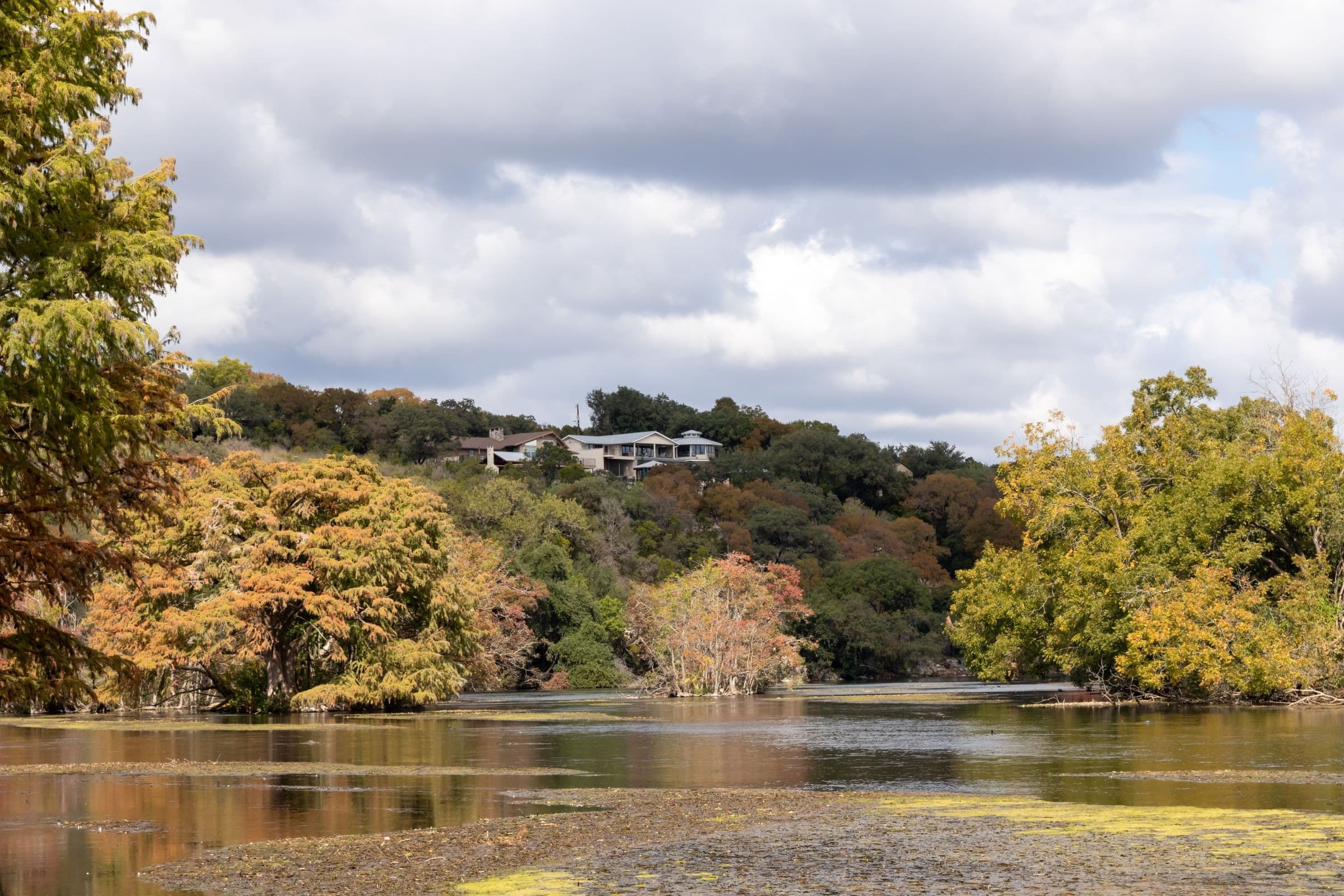 Houses above a tree-lined lake in Texas